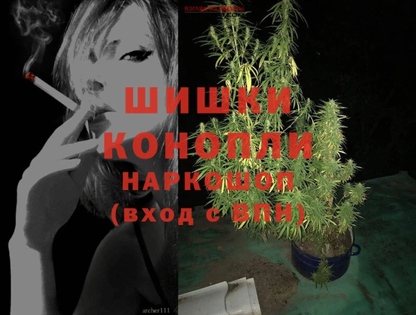 соль ск Арсеньев