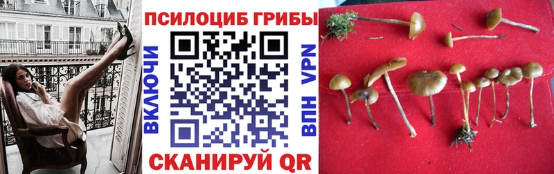 Галлюциногенные грибы MAGIC MUSHROOMS  Волгоград 