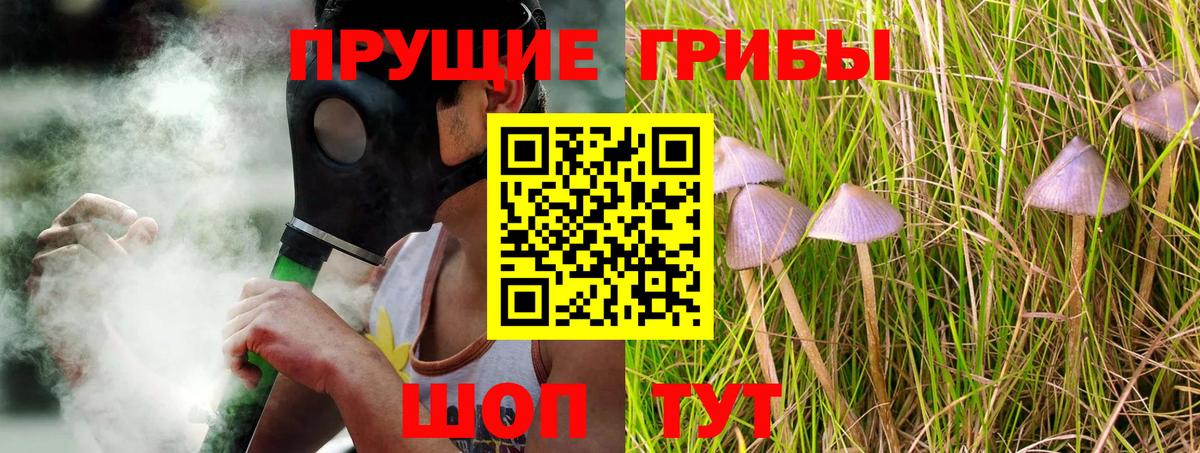 Псилоцибиновые грибы Cubensis  Вход с VPN  Волгоград 